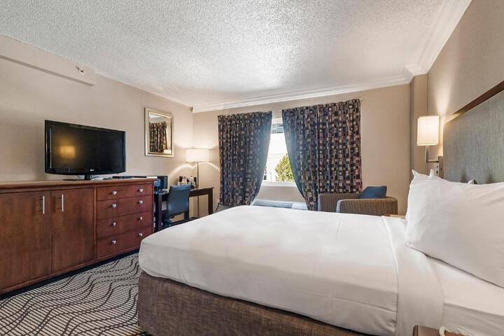 1 Queen Bed (9 of 23)