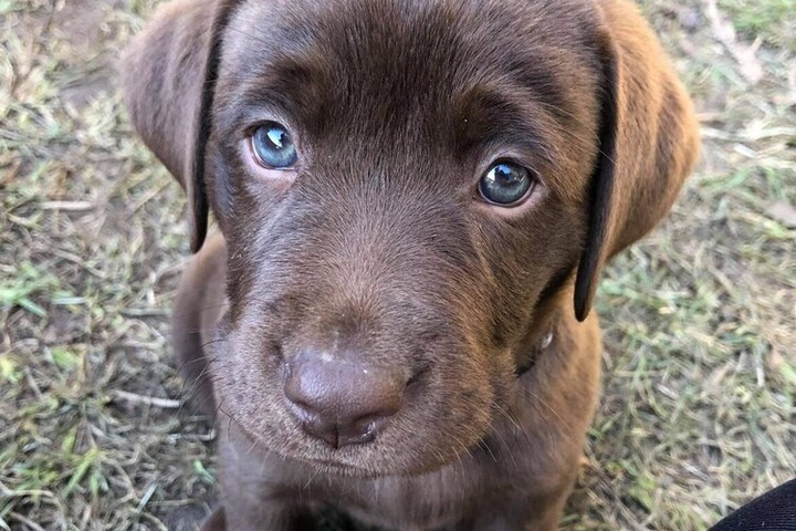 Pet Friendly 15 of 16