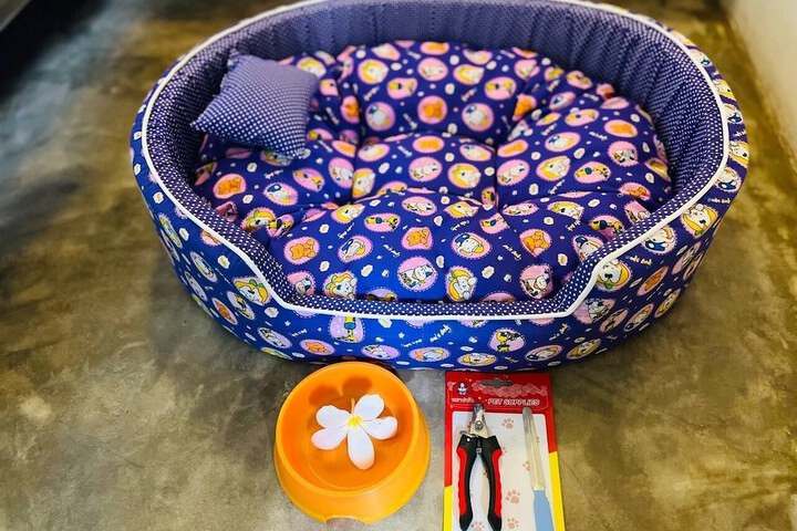 Pet Friendly 121 of 177