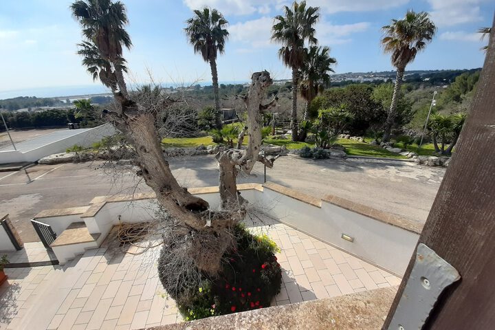 Terrace/Patio 141 of 249