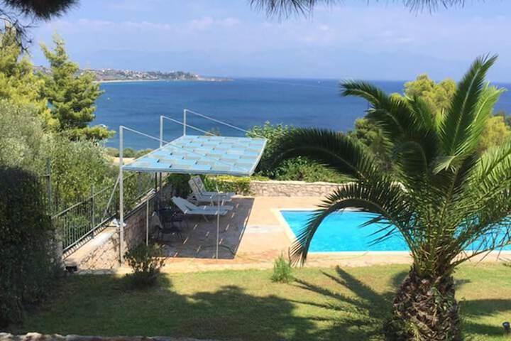 Hotel with Pool