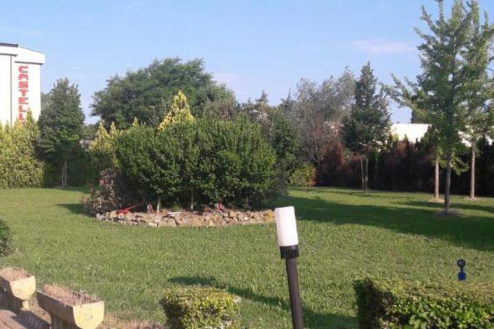 Photo 28