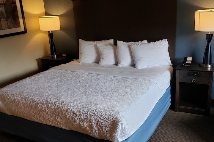 1 King Bed (30 of 34)