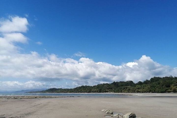 Beach 116 of 169
