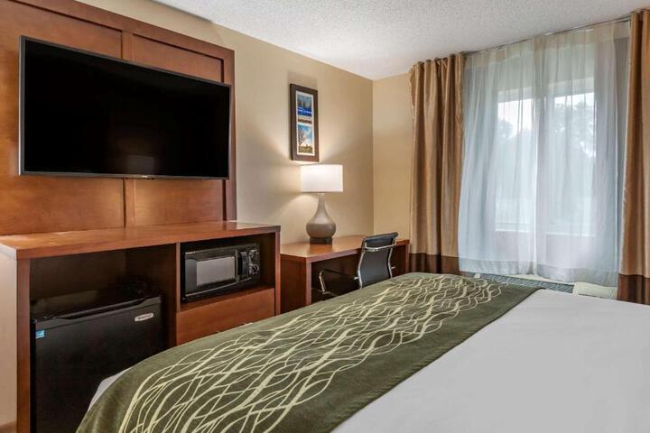 2 Queen Beds (1 of 12)