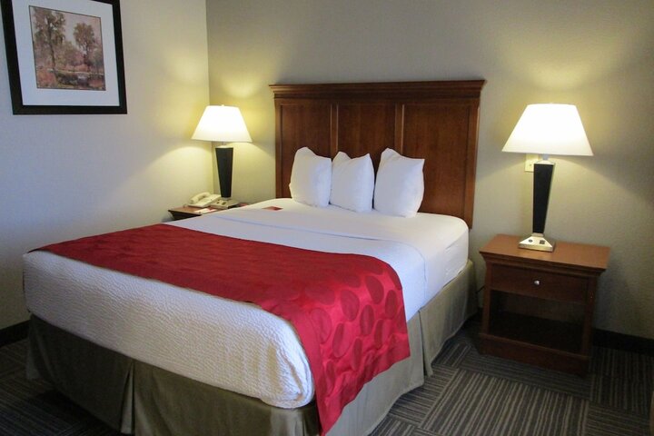 1 Queen Bed Accessible Room (8 of 17)