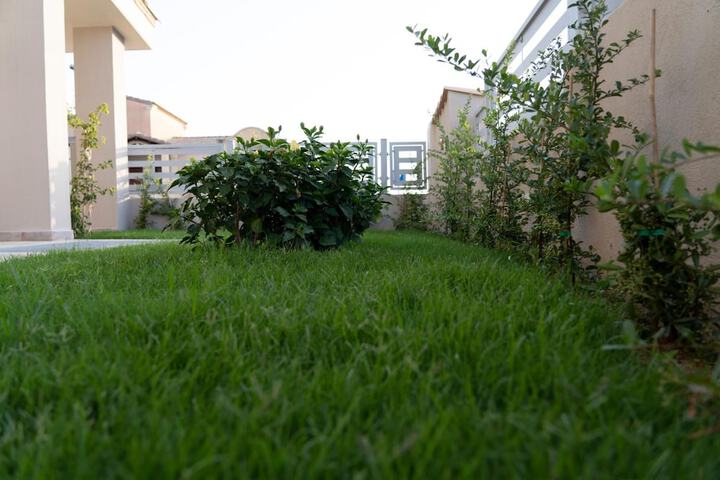 Property Grounds 41 of 51