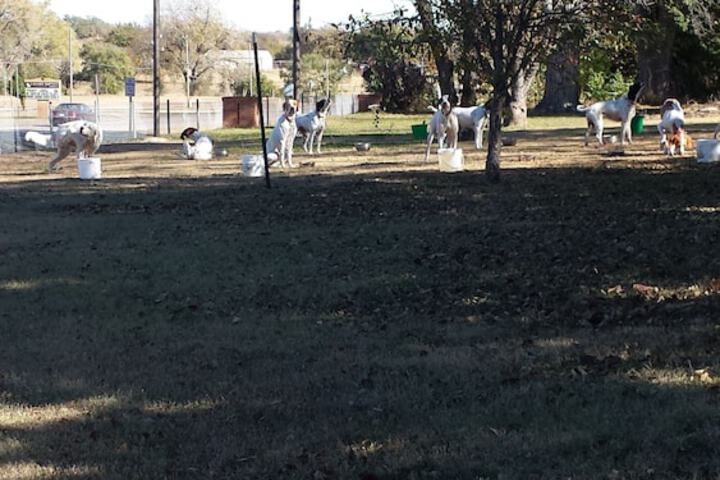 Outdoor Activities 22 of 29