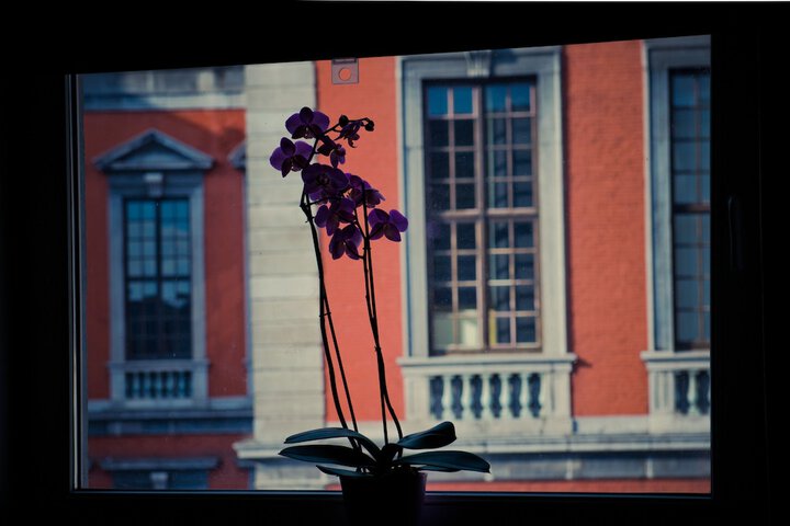 Room 87 of 109