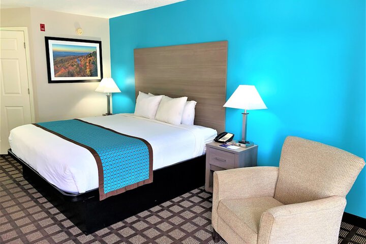 1 King Bed (5 of 13)