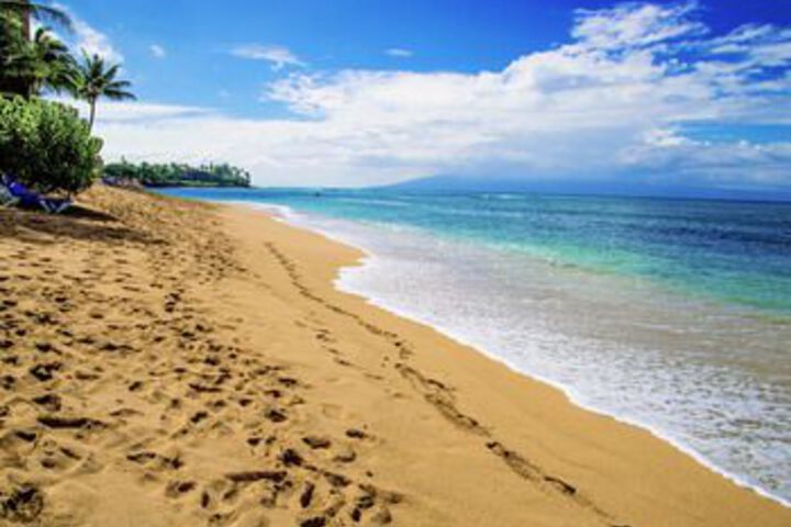 Beach 20 of 97