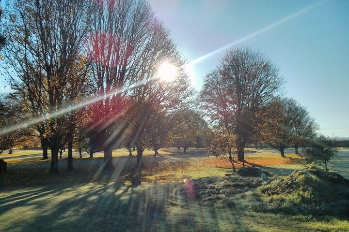 Golf 53 of 80
