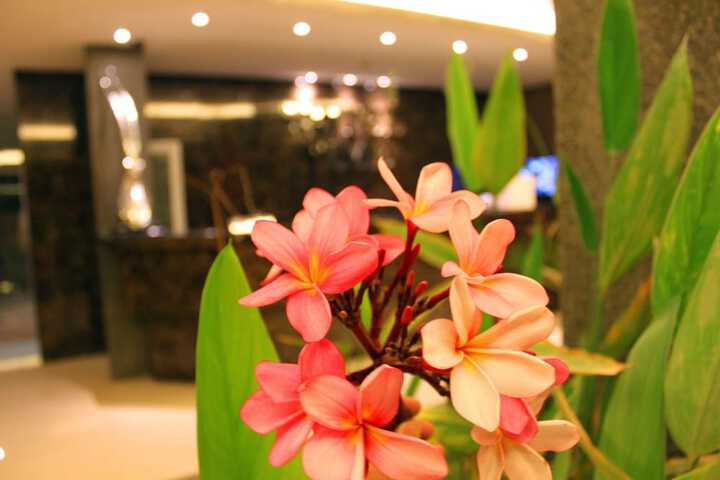 Hotel Interior 2 of 59