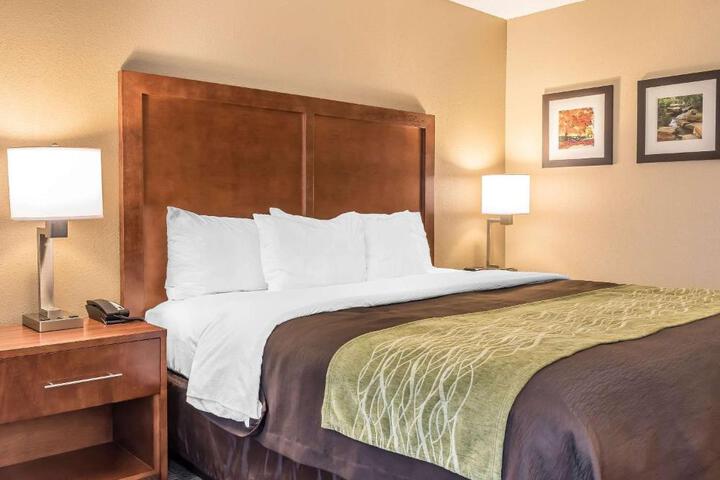 1 King Bed Accessible (3 of 8)