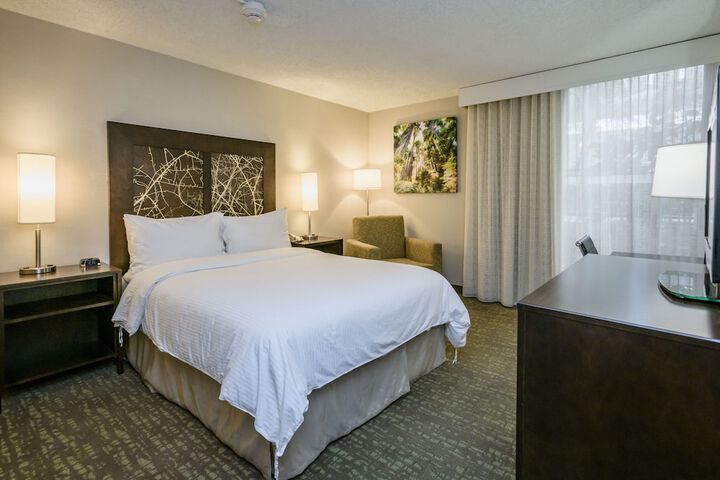 1 King Bed (9 of 11)