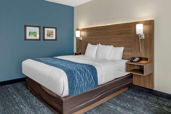 1 King Bed Pet Friendly (10 of 13)