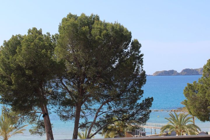 View from room
