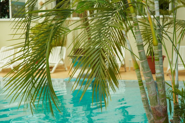 Pool 65 of 105