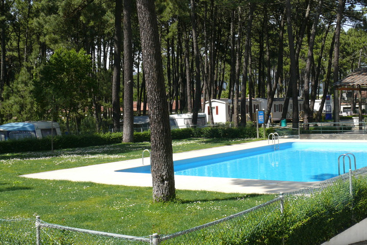 Pool 11 of 21