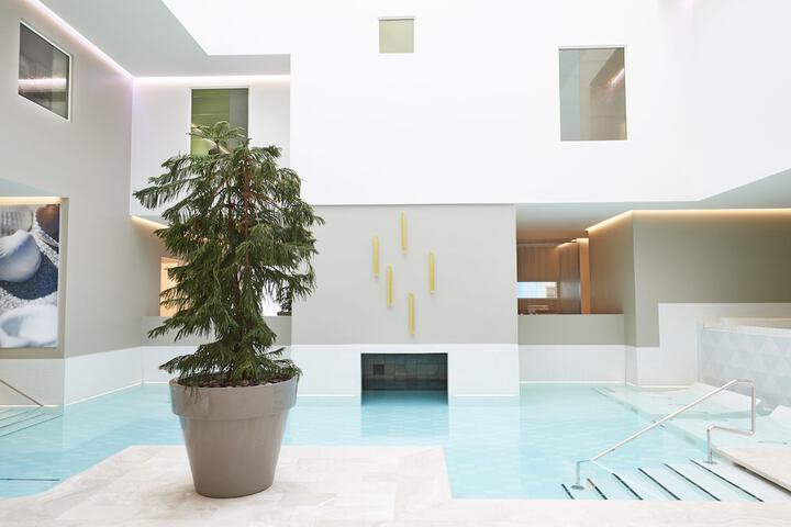 Hotel with Pool