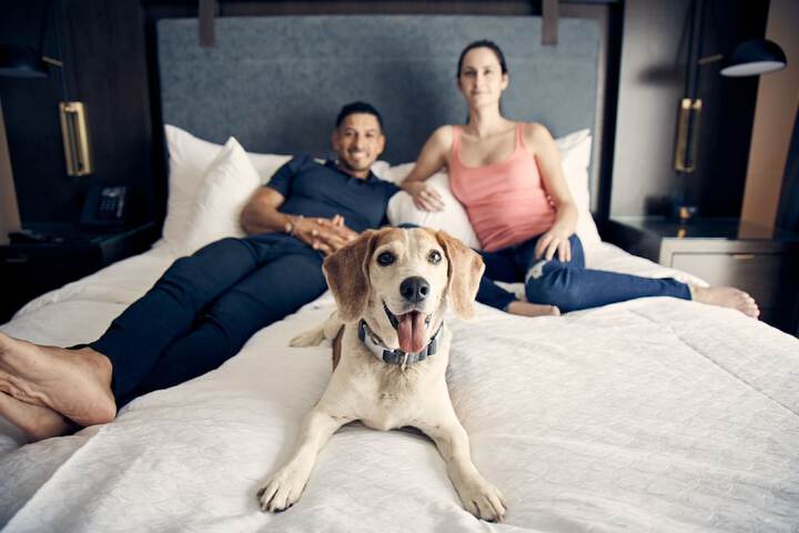 Pet-friendly