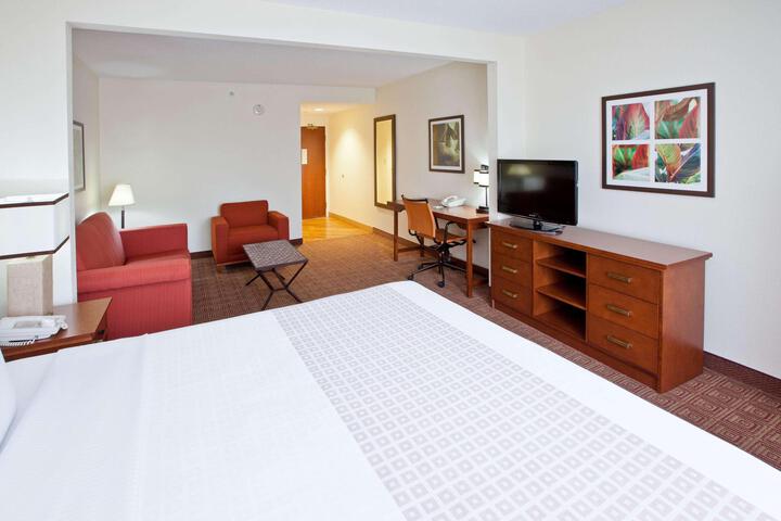 1 King Bed Mobility Hearing Impaired Accessible Room (6 of 17)