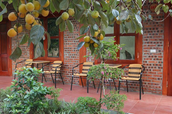 Terrace/Patio 39 of 104