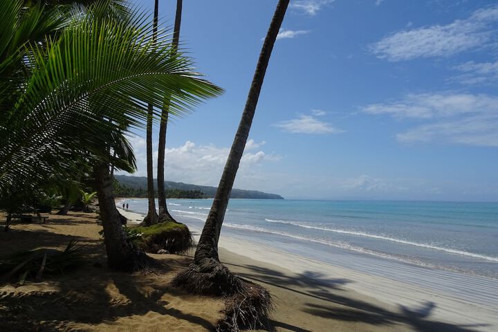 Beach 64 of 71