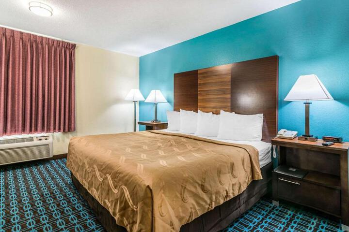 1 King Bed (3 of 16)