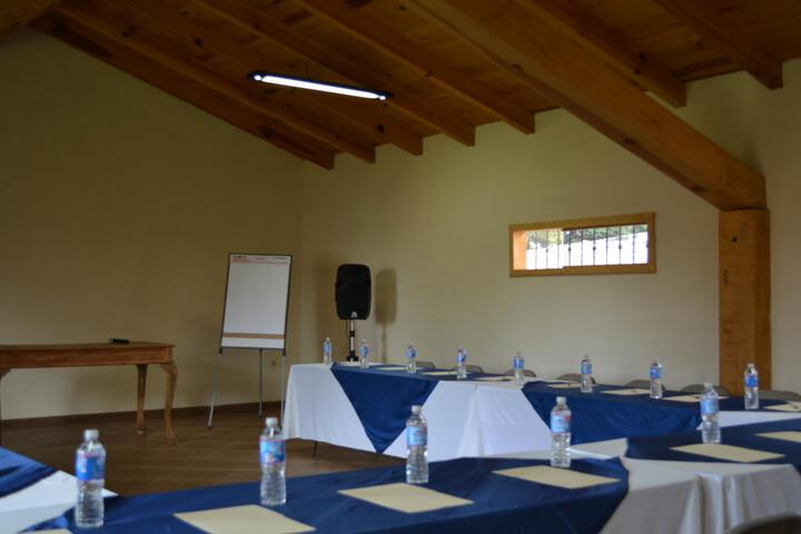 Conferences