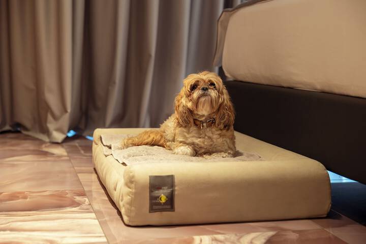 Pet Friendly 77 of 97