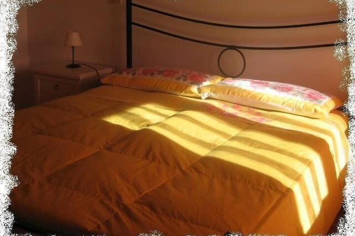Room 7 of 49