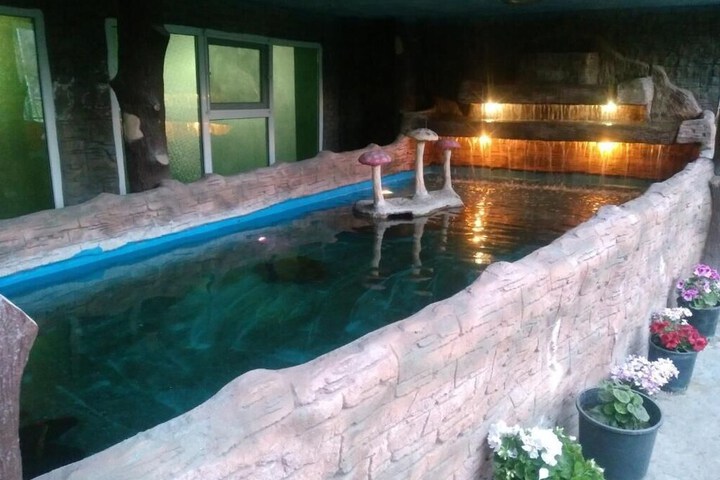 Pool 38 of 54
