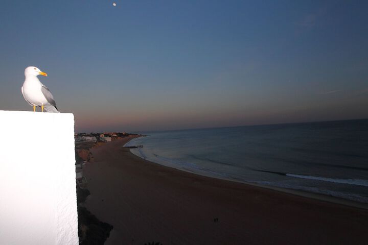 Beach 109 of 112