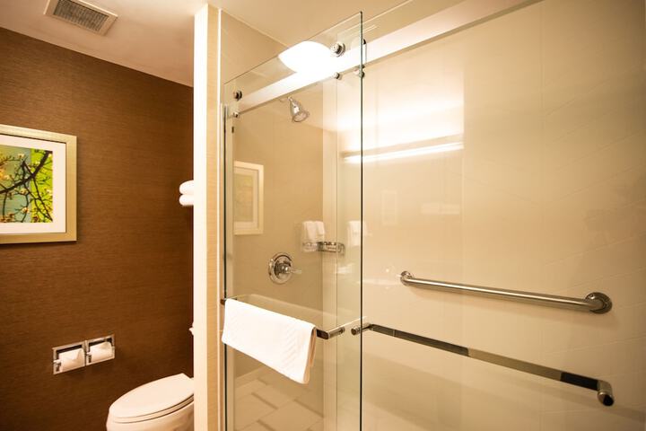 Bathroom shower