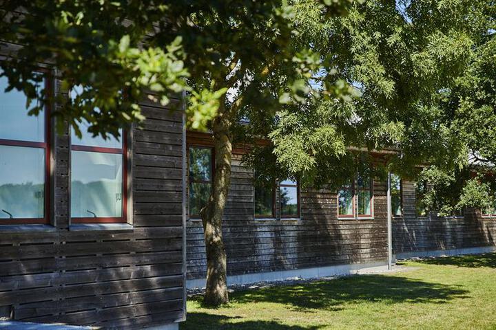 Photo 9