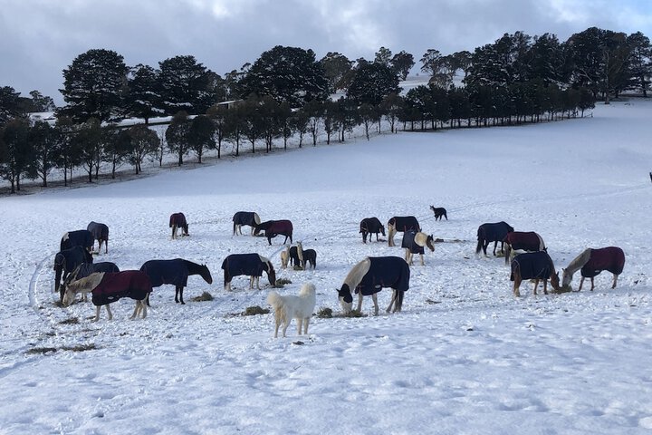 Hotel Exterior 16 of 21