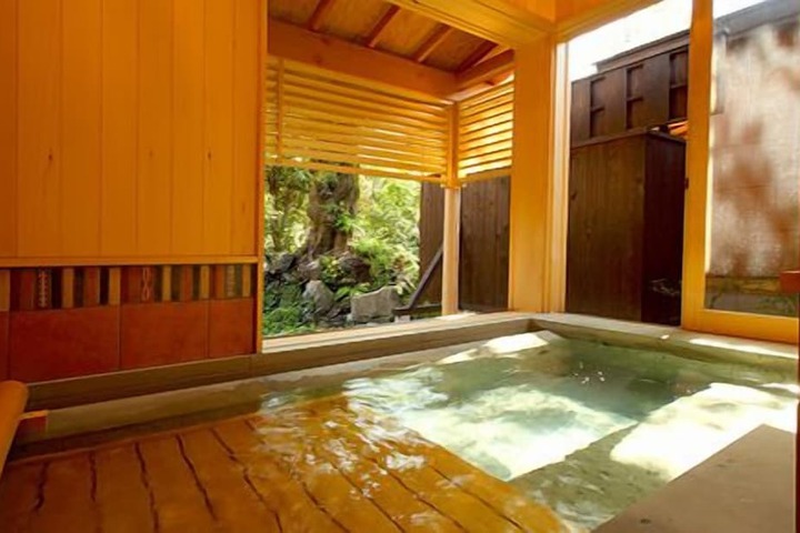 Wellness Treatments