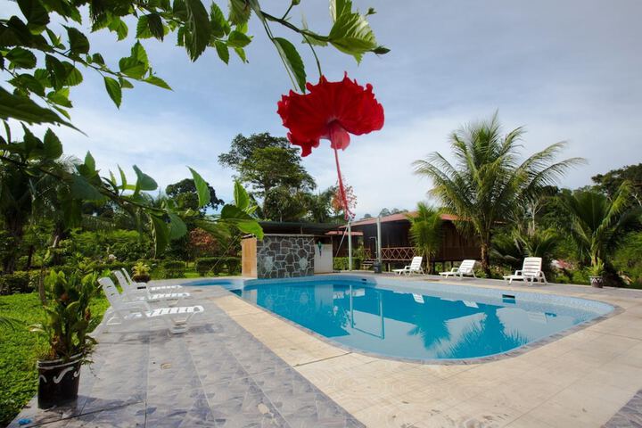 Pools & Facilities