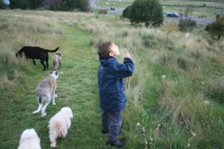 Property Grounds 17 of 20