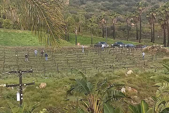 Outdoor Activities 37 of 65