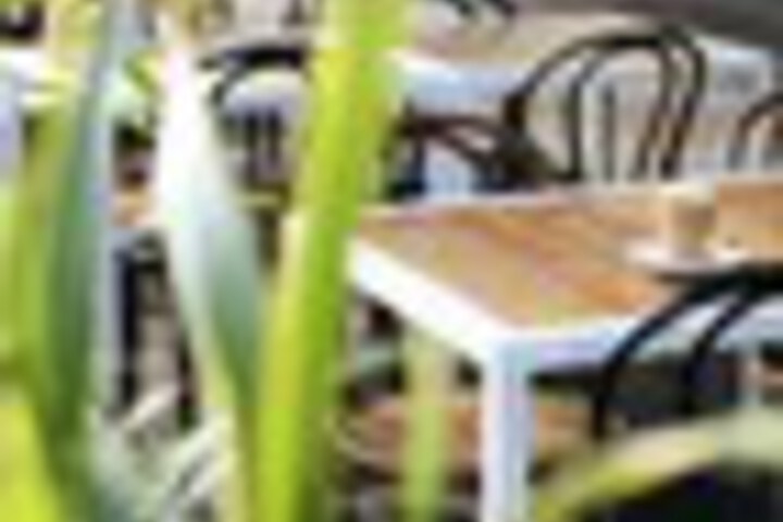 Breakfast/Coffee Service 113 of 180