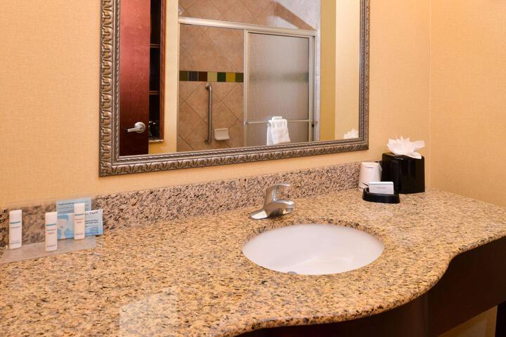 1 King Mobility Hearing Accessible Roll in Shower Studio (16 of 27)