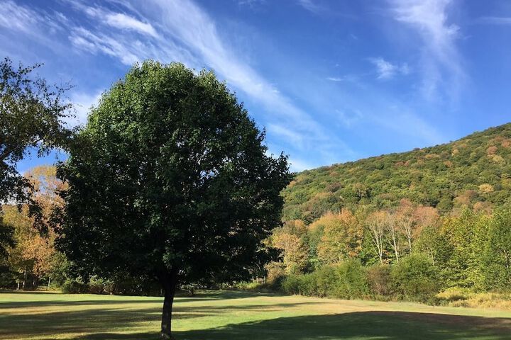 Property Grounds 61 of 84