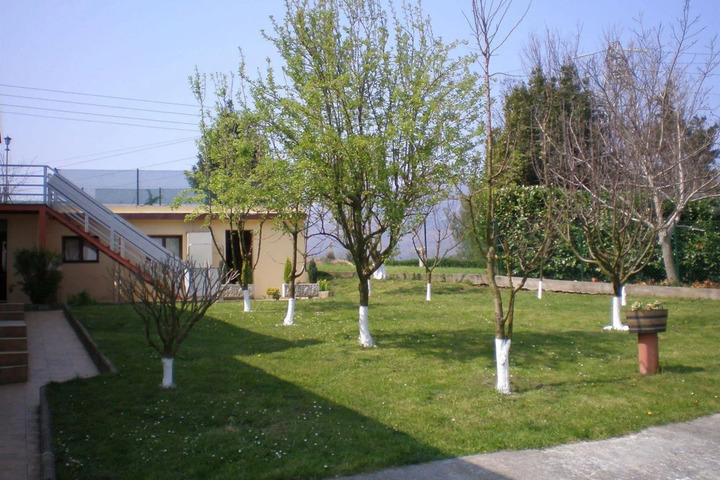 Photo 11
