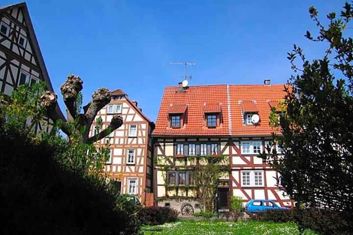 General view