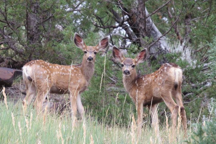 Property Grounds 37 of 46