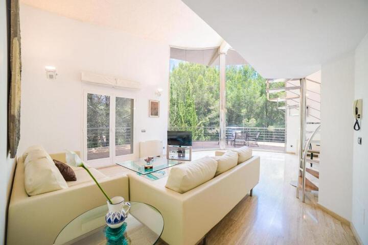 General 7 of 24