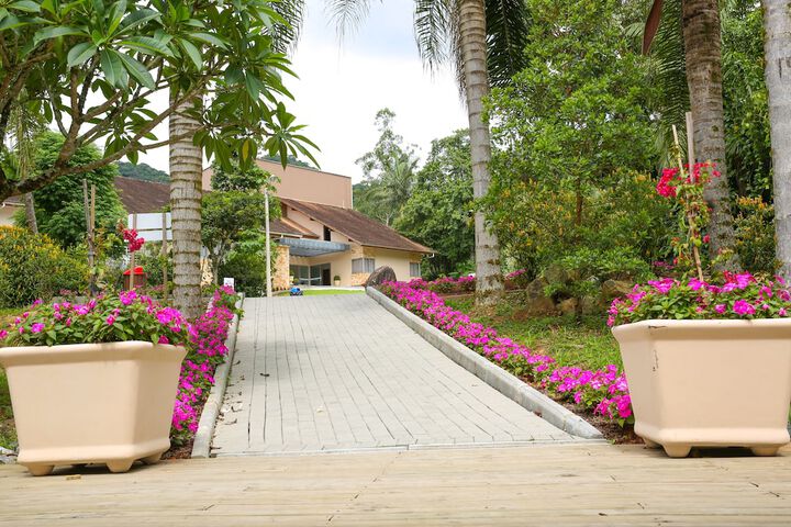 Terrace/Patio 58 of 61