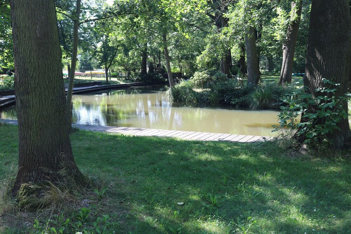 Property Grounds 64 of 71